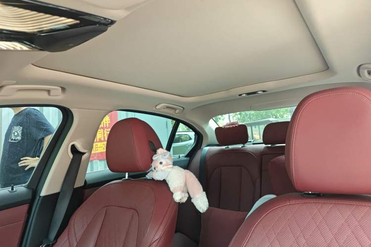 Used BMW 3 Series 2023 325Li M Sport Package Headliner