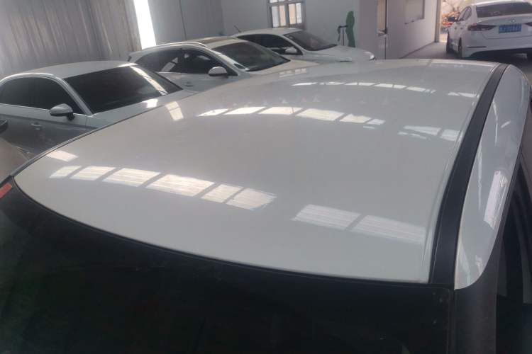 Used ORA White Cat 2020 305 km Luxury Version
