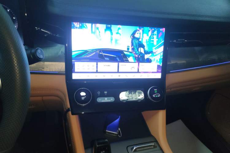 Used Lynk & Co 09 2024 2.0T Four-Wheel Drive Sport Edition Five Seats
