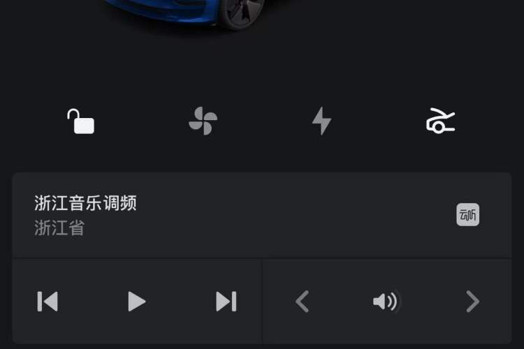 Used Tesla Model 3 2022 Rear-Wheel-Drive Version Vehicle Key