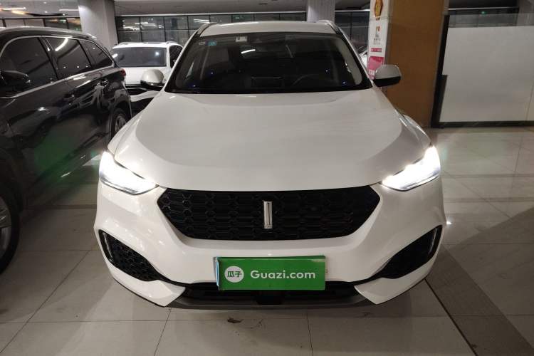 Used Wey VV6 2019 2.0T Two-Wheel-Drive Ultra-Luxury Version China VI Standard Front