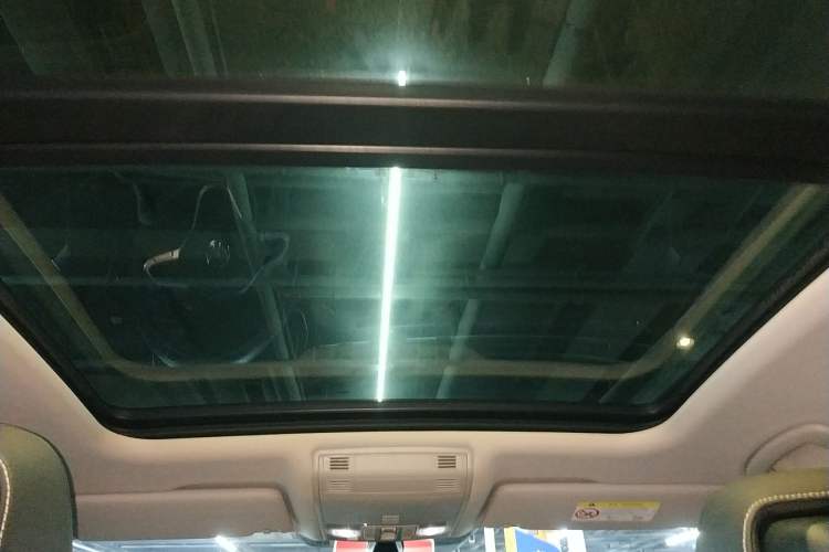 Used Volkswagen Magotan 2020 330TSI DSG Luxury Edition Headliner