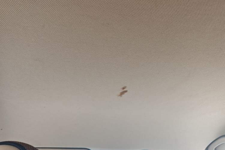 Used Baojun 730 2016 1.5L Manual Comfort Version 7 Seats China V Emission Standard
