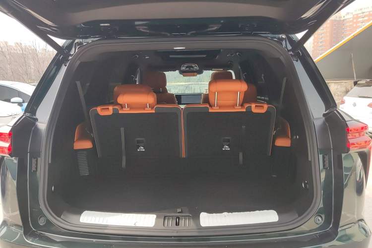 Used Wey Lanshan 2023 Four-Wheel Drive Ultra-Long Range Version