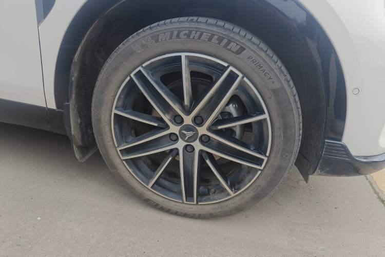 Used VOYAH COURAGE 2025 Model Rear-Drive Qiankun Edition
