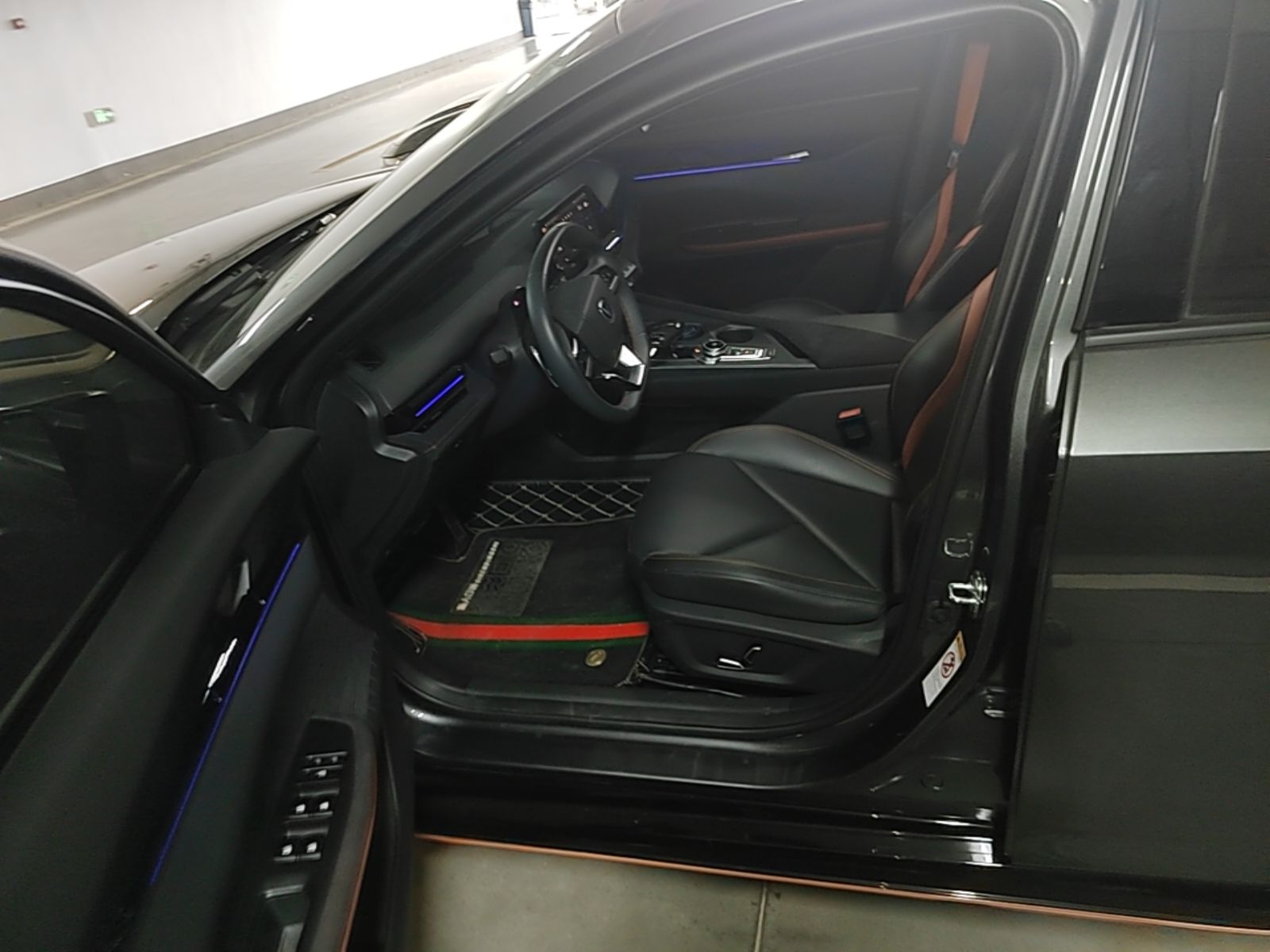 Interior delantero
