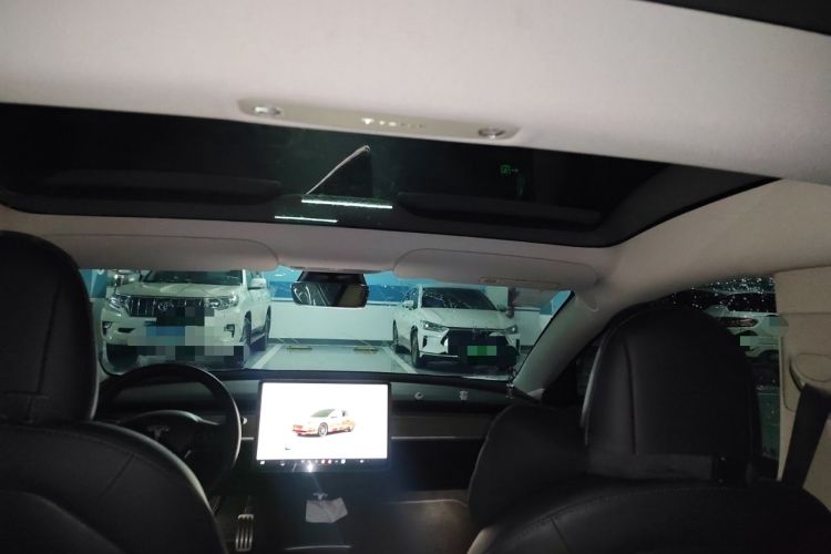 Used Tesla Model 3 2022 Performance High-Performance All-Wheel-Drive Version Headliner