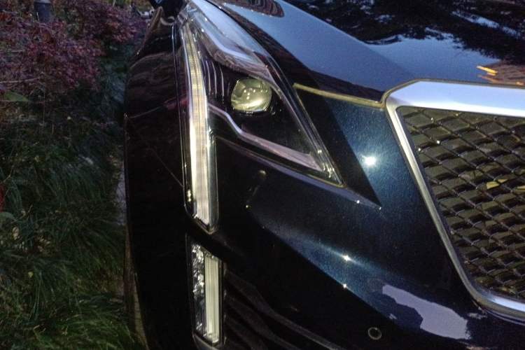 Used Cadillac XT5 2021 2.0T Four-Wheel Drive Premium Edition
