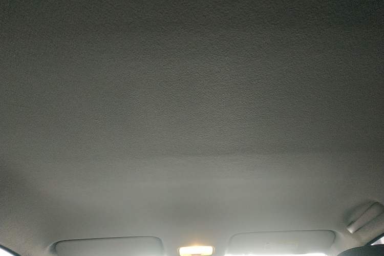 Used Kia Pegas 2019 1.4L Manual Value Edition National VI Standard Headliner