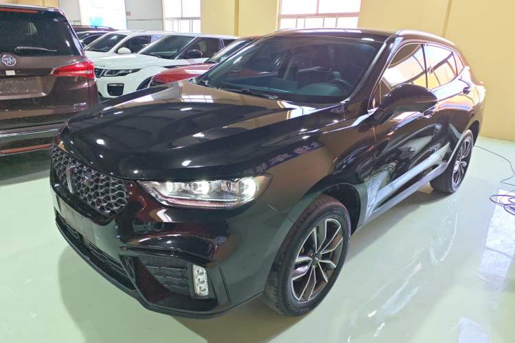 Used Wey VV5 2020 1.5T Two-Wheel Drive Color Pioneer