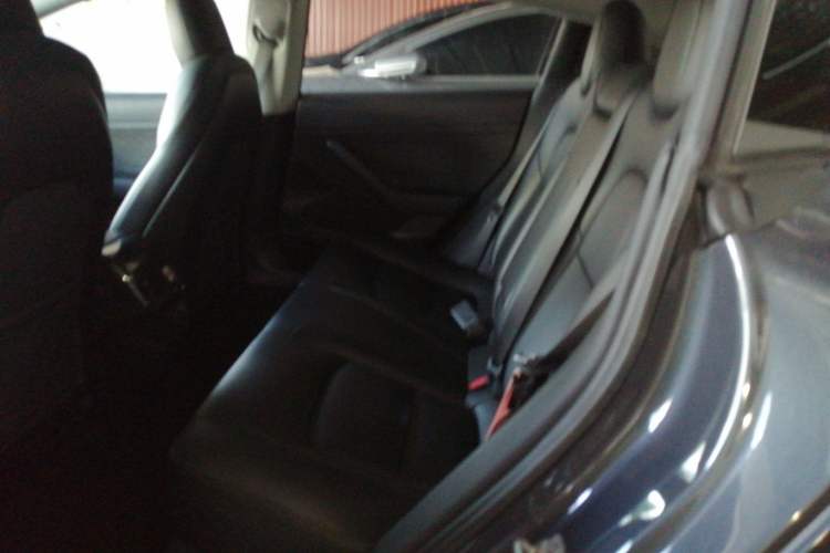 Used Tesla Model 3 2019 Standard Range Rear-Drive Upgraded Version