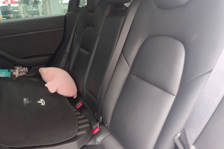 Used Tesla Model 3 2022 Rear-Wheel-Drive Version
