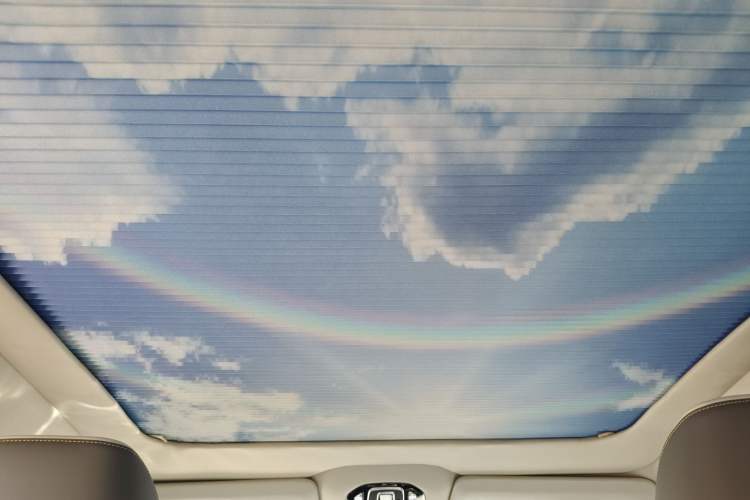 Used AION V 2022 Plus 80 Executive Edition Ternary Lithium Headliner