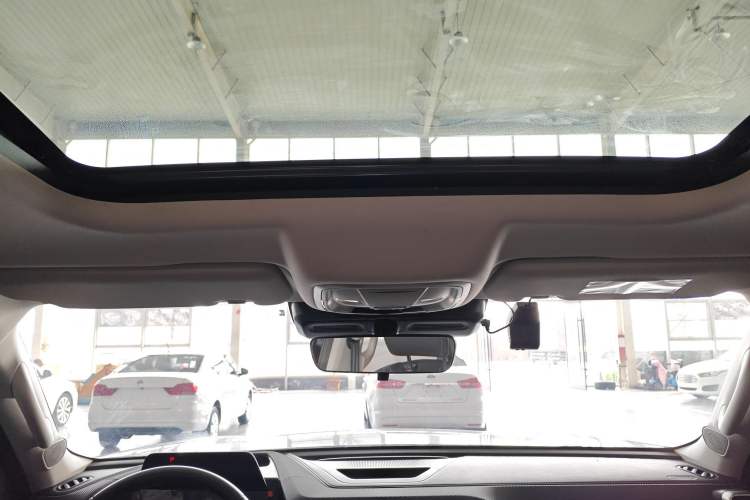 Used Haval DARGO 2024 2.0T DCT Chinese Rural Dog Edition
