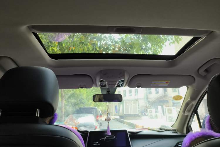 Used SAIC MAXUS D90  Headliner