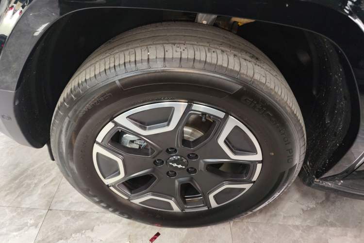 Used Formula Leopard Tai 7 2025 Model 200 km Two-Wheel Drive Max Edition