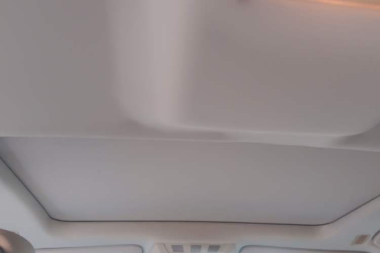 Used BMW 7 Series 2009 740Li Leading Model Headliner