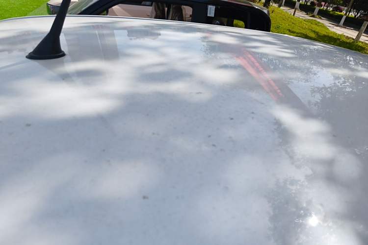 Used Bestune Pony 2024 170km Vitality Horse Roof