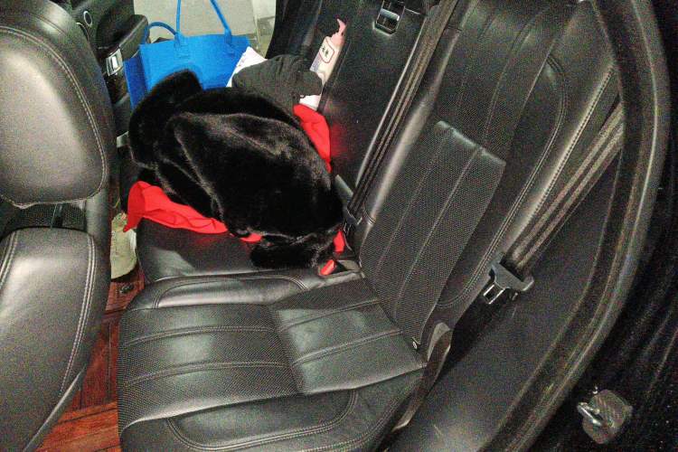 Used Land Rover Range Rover 2015 3.0 SC V6 Vogue