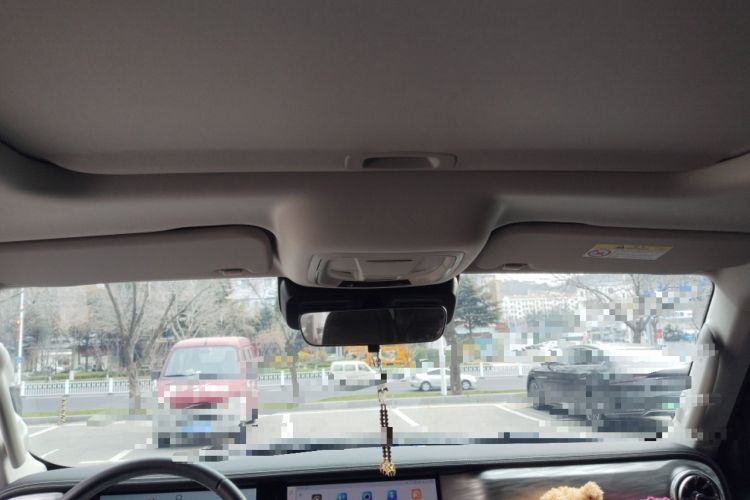 Used Tank 300 New Energy 2024 Hi4-T Headliner