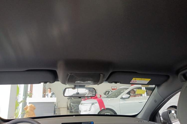 Used BYD Qin PLUS  Headliner