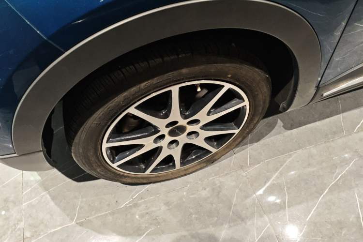 Used Dayun Yuehu 2021 32.85 kWh Two-Wheel-Drive Sprite Version
