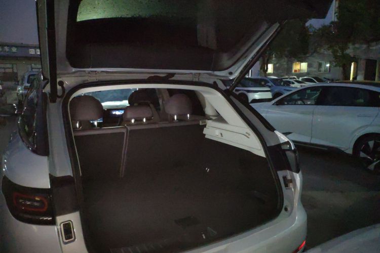 Used Leapmotor C11 2023 Pure Electric 500 Zhixing Edition
