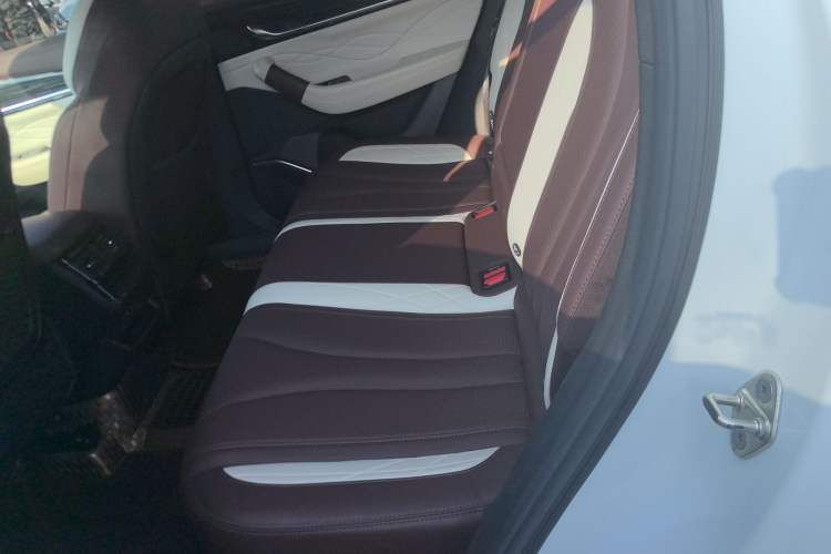 Used Geely Auto Monjaro L 2021 2.0TD DCT EVO Two-Wheel Drive Prestige Version
