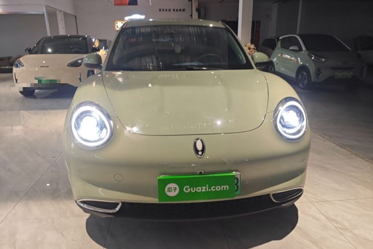 Used ORA Good Cat 2024 501 km Luxury Version Front