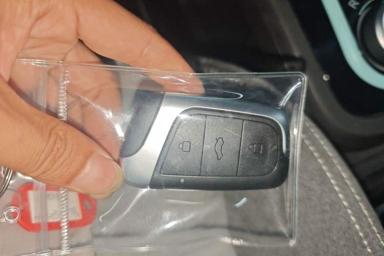 Used Chery New Energy Little Ant 2021 150 000 Yuan "Ant Fan" Edition New Ant Xuan Version Lithium-NMC Battery