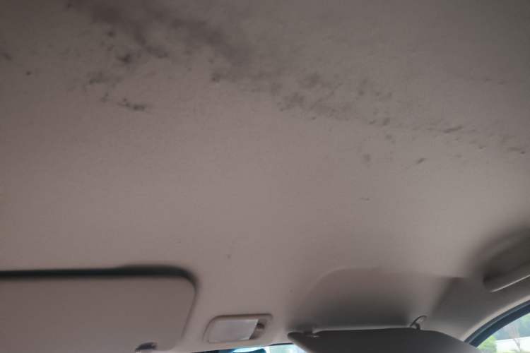 Used Wuling Hongguang V 2021 1.5L Jingqu Version LAR Headliner