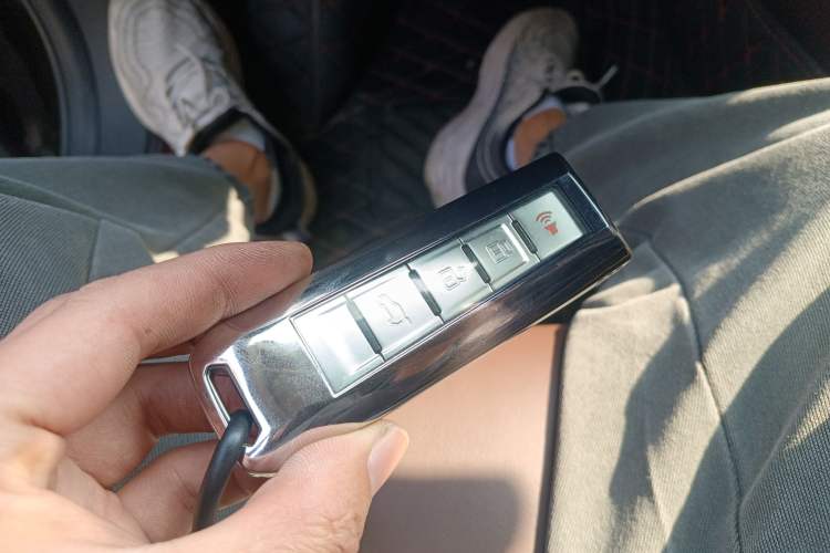 Used Wey P8 2018 2.0T Flagship Model