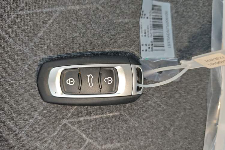 Used Geely Galaxy Panda 2024 Panda Mini 200km Endurance Bear