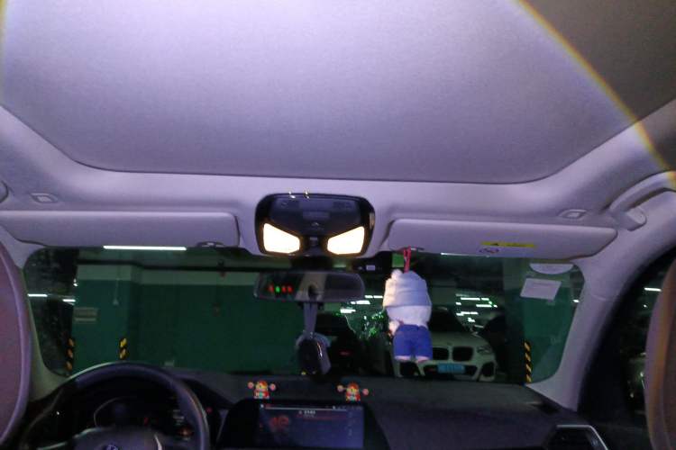 Used BMW 3 Series 2020 325Li First Edition Headliner