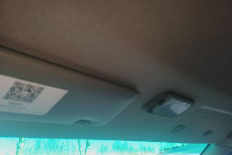 Used FORTHING Lingzhi 2018 V3L 1.6L 2-Seat Logistics Version