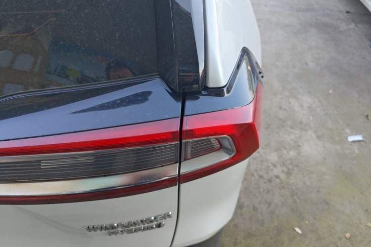 Used Toyota Wildlander 2020 Dual-Motor 2.5L E-CVT Four-Wheel Drive Luxury Edition
