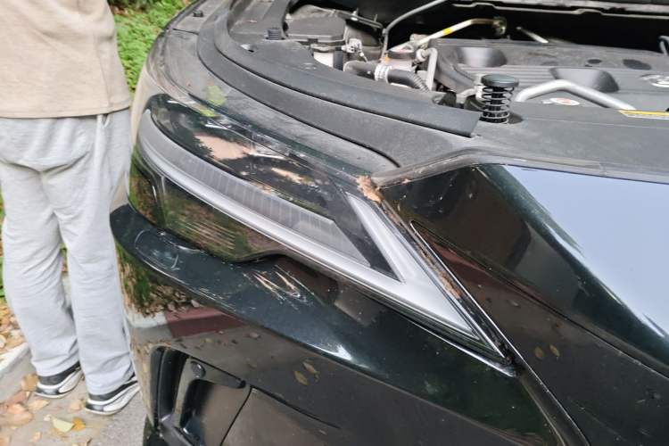 Used Lexus RX New Energy 2023 450h+ Four-Wheel Drive Enjoyment Edition
