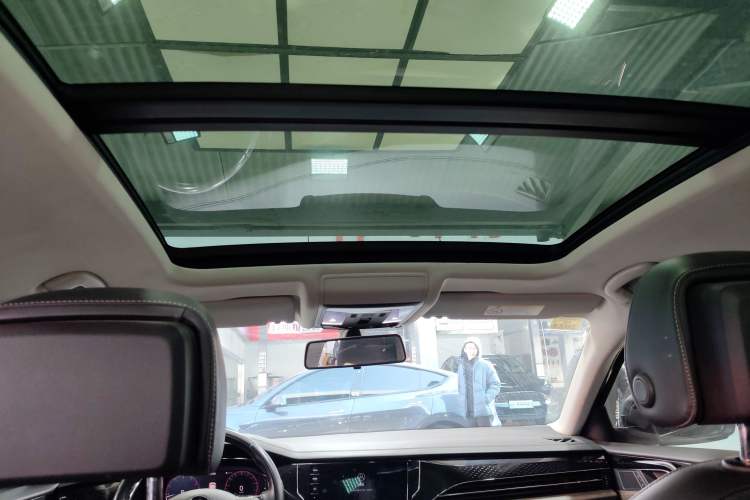 Used Volkswagen Passat 2020 Revised Version 330TSI Luxury Edition China VI Standard