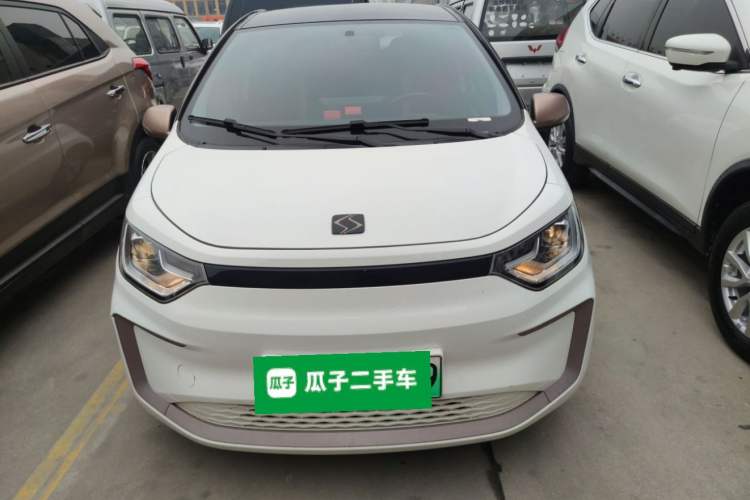 Used SOL E10X 2022 Flower Fairy Style Baby's Breath