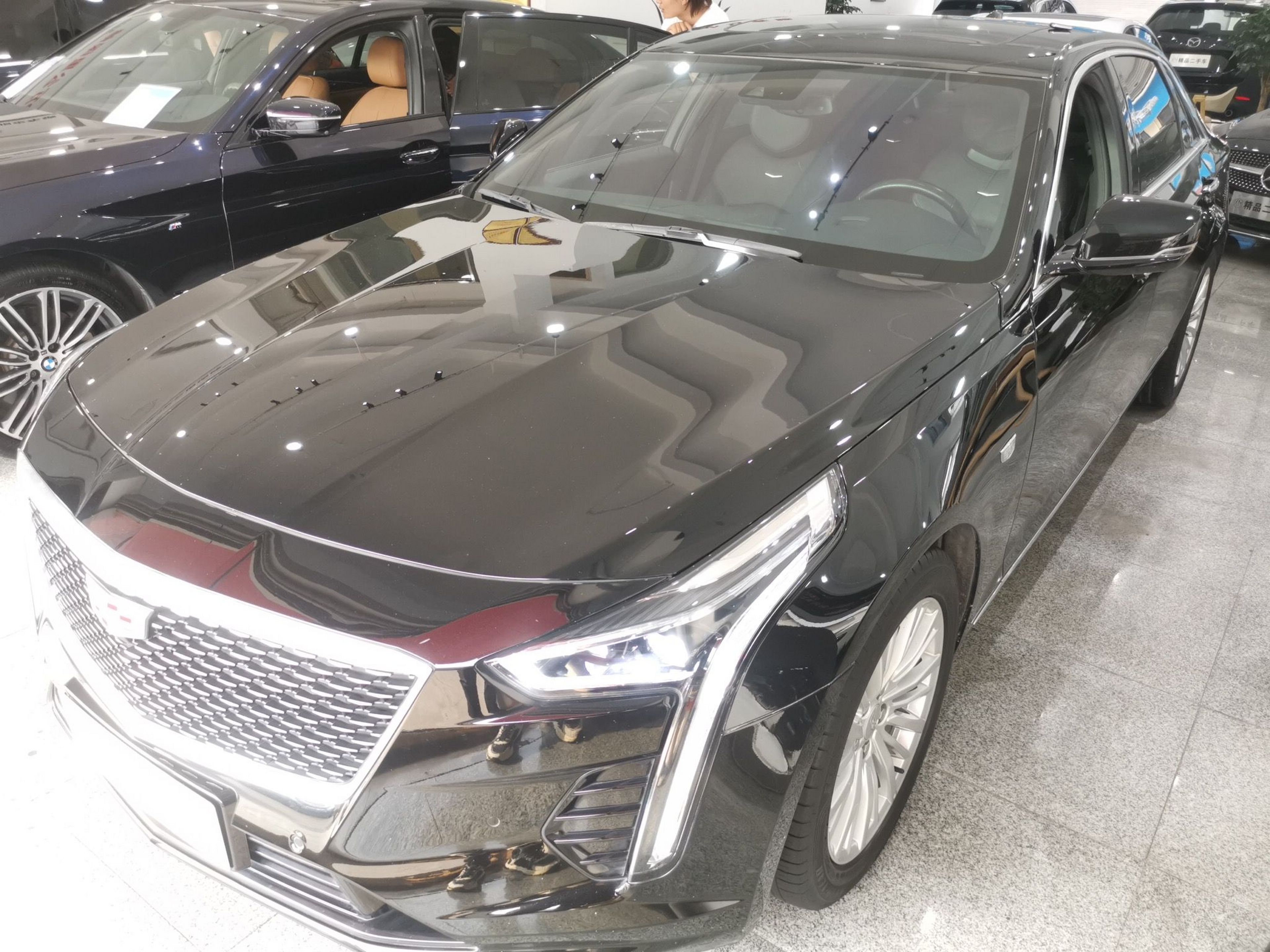 Parte inferior delantera