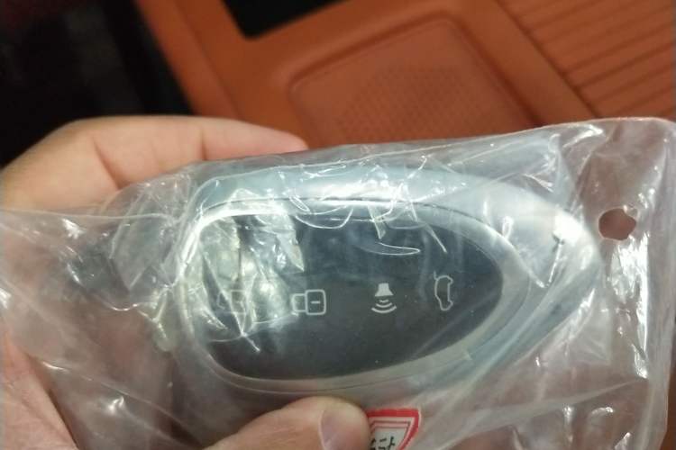 Used Wey Lanshan 2025 Four-Wheel Drive Max Vehicle Key