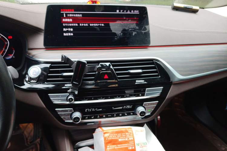 Used BMW 5 Series 2020 530Li Leading Edition Luxury Package
