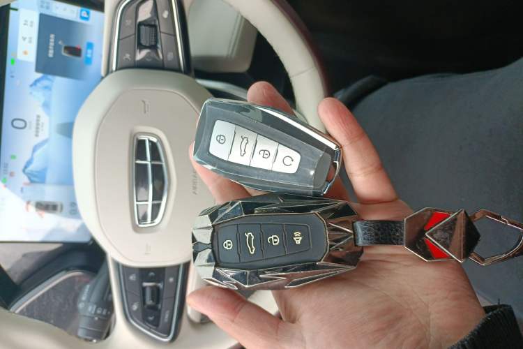 Used Geely Auto Monjaro L 2021 2.0TD DCT EVO Two-Wheel Drive Prestige Version
