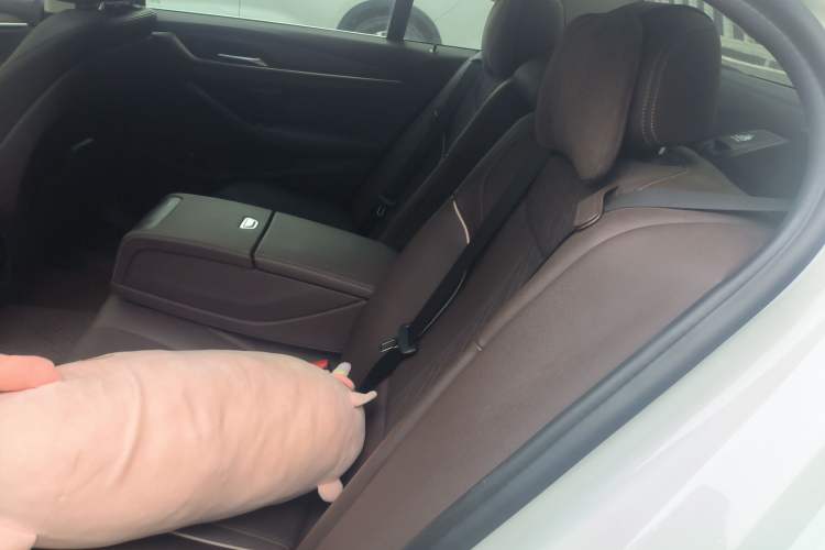 Used BMW 5 Series New Energy 2021 535Le Luxury Package