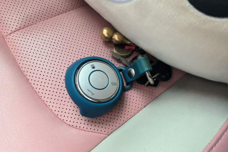 Used NETA V 2021 Witch Edition