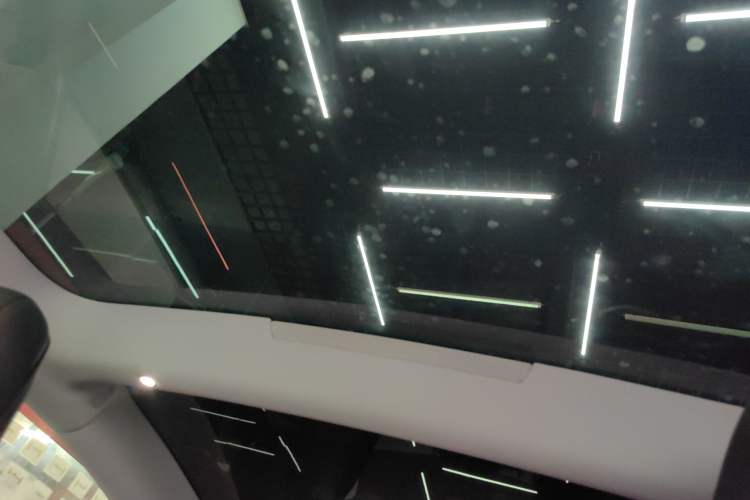 Used Tesla Model 3 2025 Rear-Wheel-Drive Version Headliner