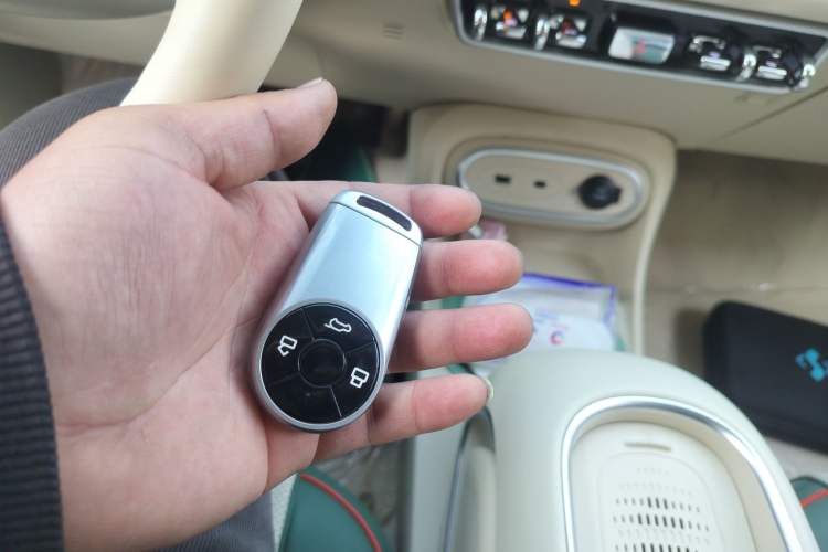 Used ORA Good Cat 2023 401 km Standard Range Premium Version Lithium Iron Phosphate Vehicle Key