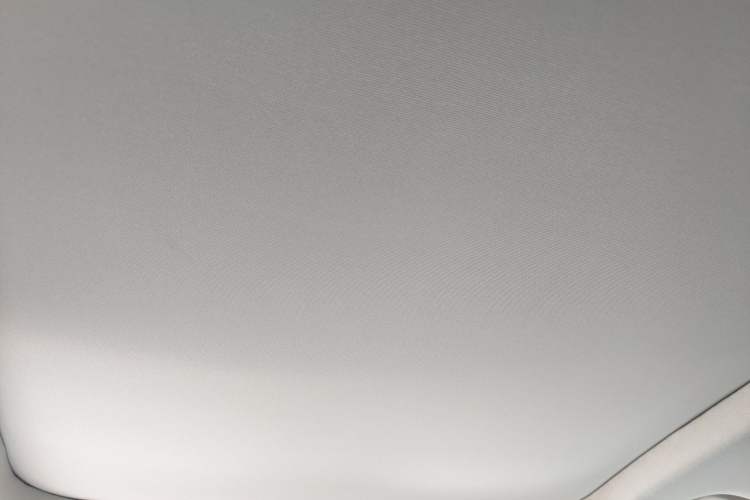 Used Ford Escape 2020 EcoBoost 245 Four-Wheel Drive Titanium Edition Headliner