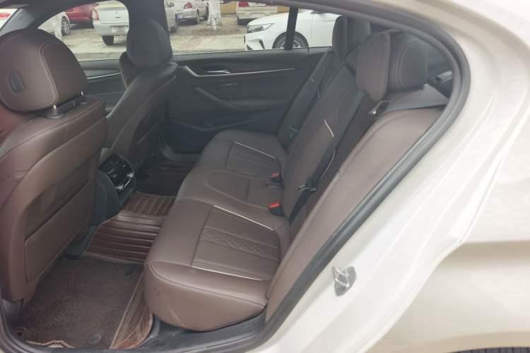 Used BMW 5 Series 2022 530Li Leading Model M Sport Package
