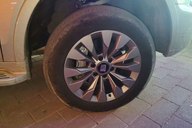 Used Tank 500 New Energy 2025 Hi4-Z
